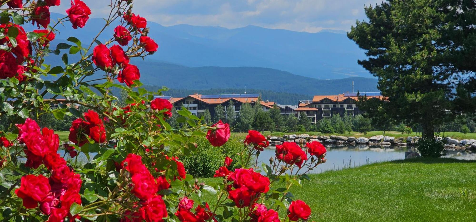 Green Peaks Suite In Pirin Golf & County Club Разлог Екстер'єр фото