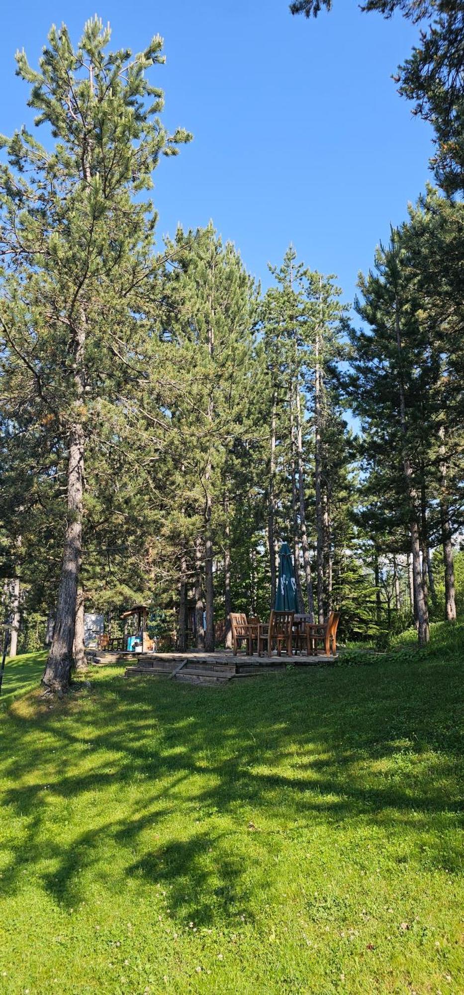 Green Peaks Suite In Pirin Golf & County Club Разлог Номер фото